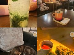 -咖法森林·咖啡  酒吧(天河店)