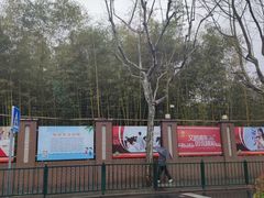 -上海市实验学校