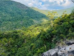 -海南霸王岭国家森林公园