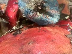 -菌之家·专业纯野生菌火锅·特色炒菌