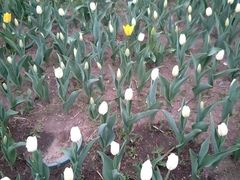 景点-长春公园(普阳街道)