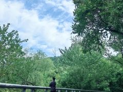 -西湖风景区-江洋畈生态公园