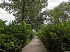 -石家庄市动物园