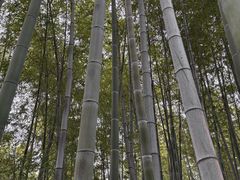 -求雨山文化公园