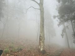 -莫干山风景区