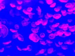 -波塞冬旅游度假区