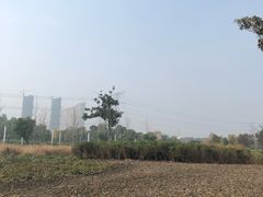 -九里河湿地公园