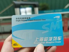 -龙阳路磁悬浮列车总站-停车场