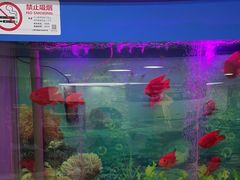 -雅悦齿科(顾村公园店)