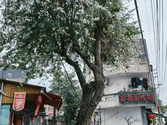 -溪岸路花鸟市场