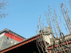 -北京佛教居士林