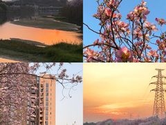 -广东花都湖国家湿地公园