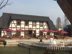 -金山农民画村-枫泾波兰倒置屋