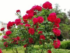 -青岛第三海水浴场