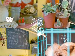 -志龙皇冠吃货椰子铺