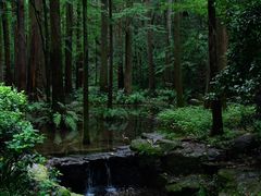 -虎跑公园