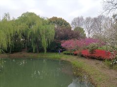 -石湖景区