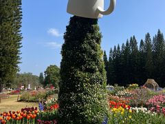 -深圳仙湖植物园