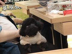 -沈阳铁西万象汇