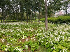 -中关村生命科学园