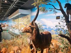 -陕西自然博物馆