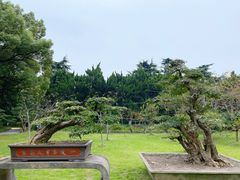 -沙市市中山公园