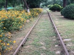 -永定河休闲森林公园