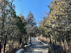 -阳台山自然风景区