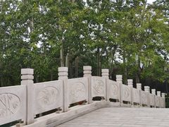 -大兴滨河森林公园