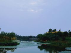 -东郊湿地公园