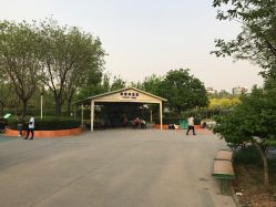 -酷酷兔少儿拓展天地