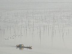 -北岐滩涂