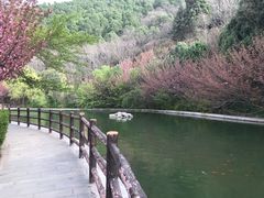 -华清宫景区