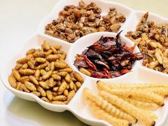 -苏记隐蔽地(吴井路店)