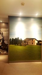 -奈瑞儿美颜塑身SPA