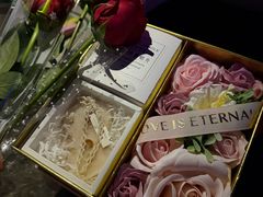 -枫花园汽车电影院(朝阳公园店)