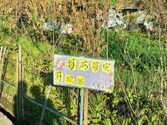 -和顺古镇