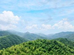 -宁波浙东大竹海景区