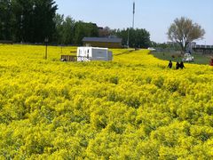-天津武清北运河郊野公园房车露营地