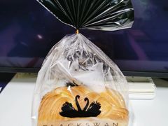 -BLACKSWAN黑天鹅(环球店)