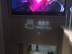 -星河寰宇IMAX影城(星河WORLD·COCO Park店)