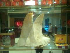 -黄埔华苑酒家(黄埔店)