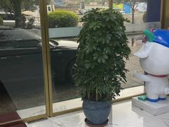-美可普口腔医院(东街分店)