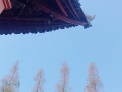 -成都市文殊院