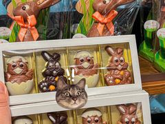 -Laderach 莱德拉(上海环贸iapm店)