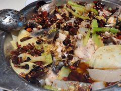 -万和源炝锅城·活鱼现炝(文艺北路店)