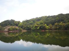 -广州市石门国家森林公园