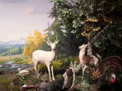 -陕西自然博物馆