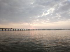 景点-宝安西湾红树林湿地公园