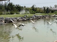 -泉城欧乐堡海洋极地世界